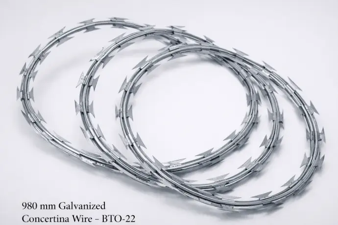 Concertina Wire 3d 1