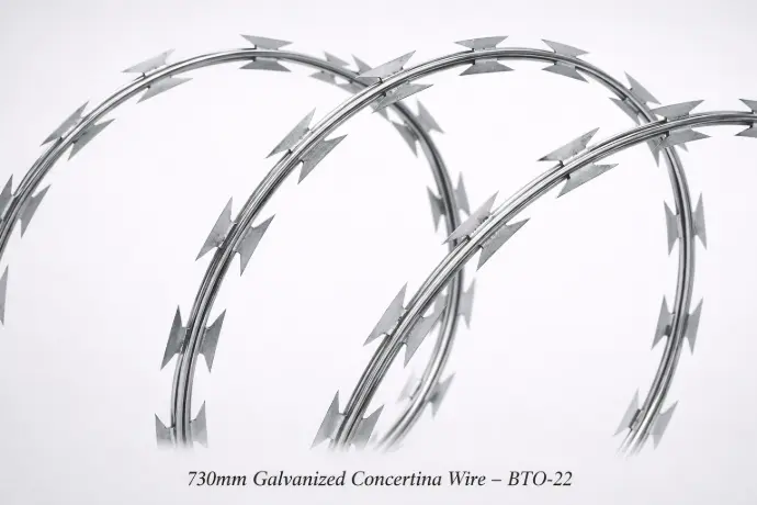 Concertina Wire 3d 