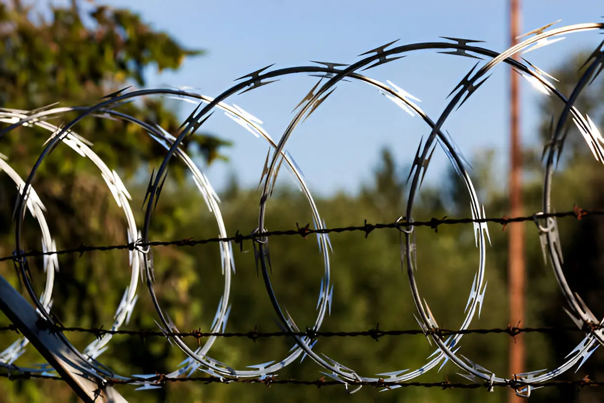 Concertina Wire