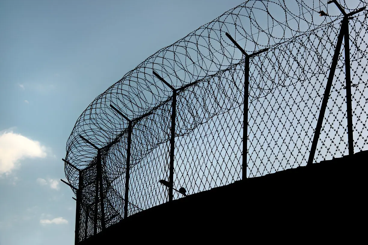 Concertina Wire 2