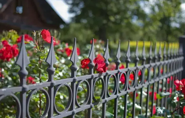 Ornamental Fence